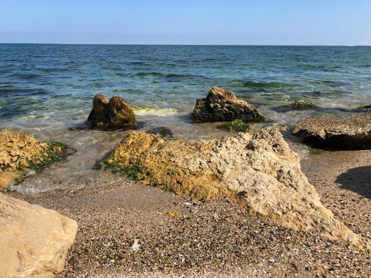 Sunrise Complex Διαμέρισμα Golden Sands